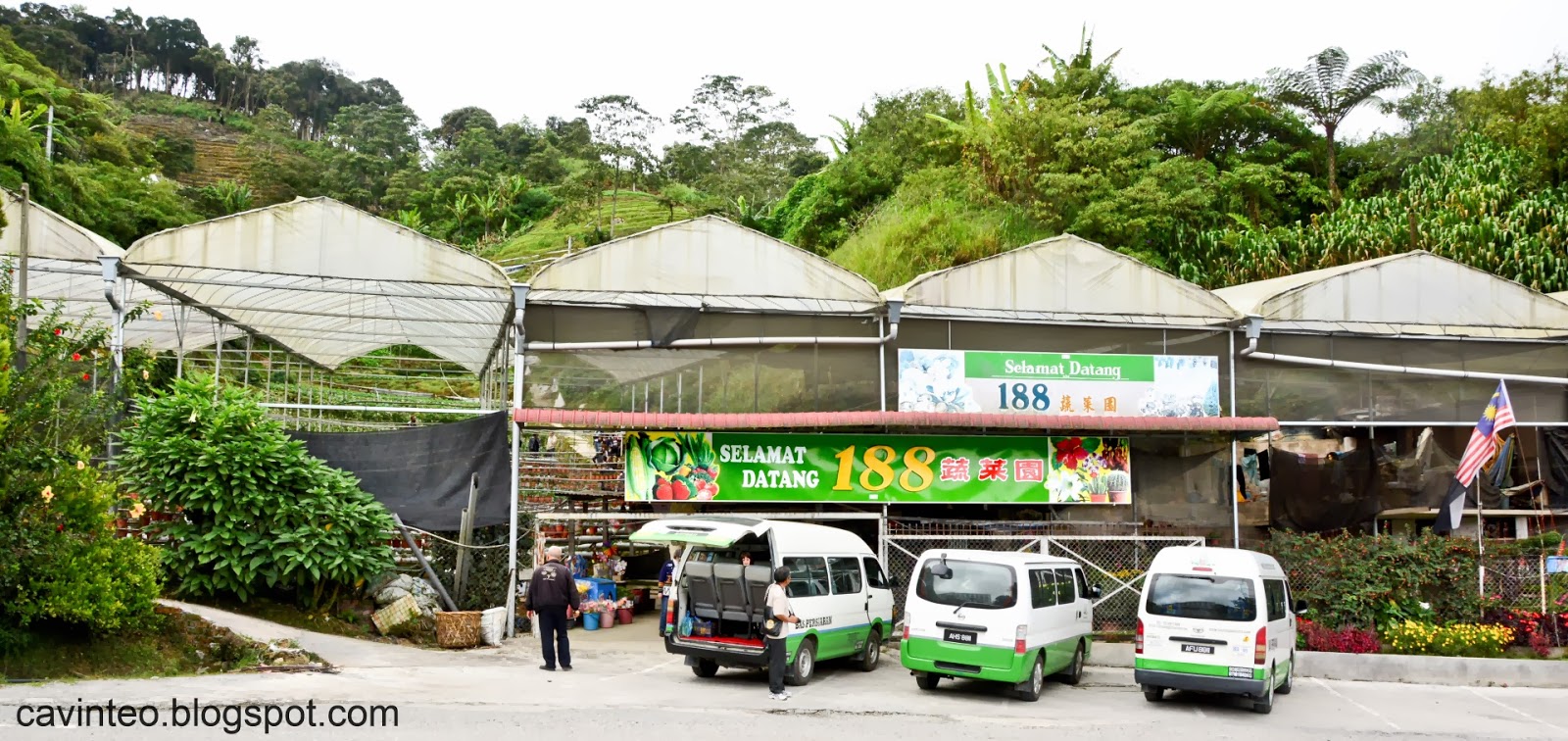 Entree Kibbles Agro Delight Tour Part 1 [Vegetable, Watercress